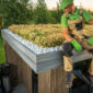 professional gardener taking close look on his sed 2025 03 15 02 51 11 utc_low 85x85